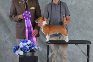 Star Mountain Kennel wins a BEST IN SHOW