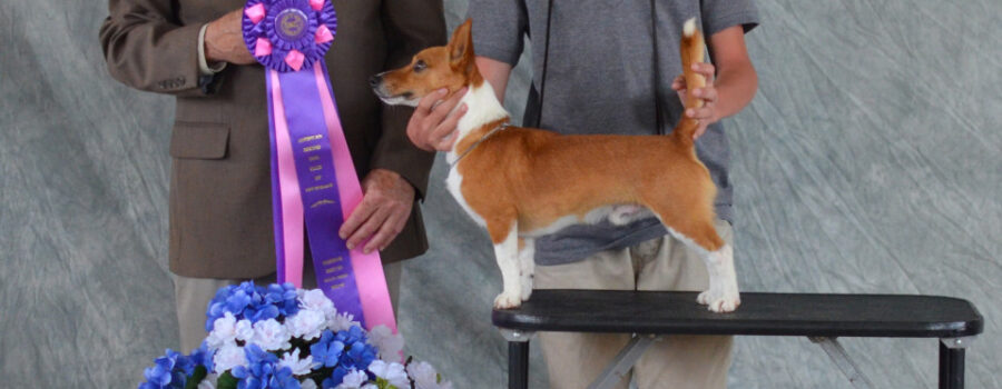 Star Mountain Kennel wins a BEST IN SHOW