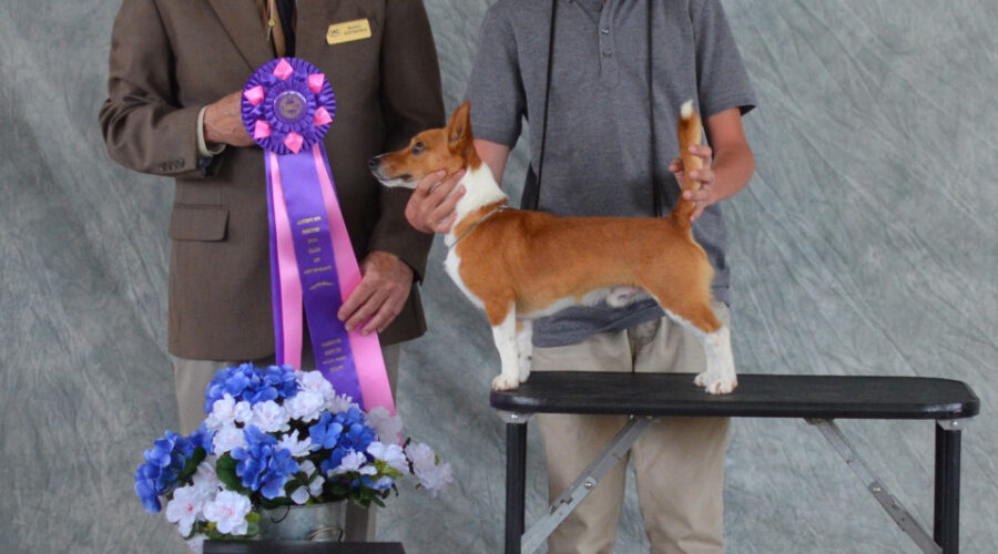 Star Mountain Kennel wins a BEST IN SHOW