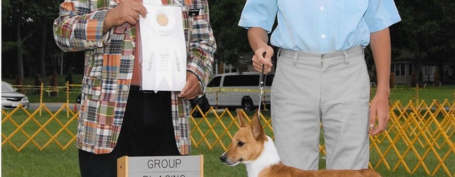 Star Mountain Kennel owns the First Smooth Podengo Pequeno to Win a Group Placement in the AKC