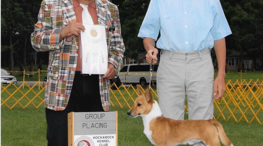 Star Mountain Kennel owns the First Smooth Podengo Pequeno to Win a Group Placement in the AKC