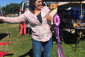 Mr. Wiggles Wins a Best IN Show