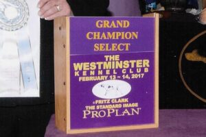 Cabrita’s Official Westminster Win Picture  !!