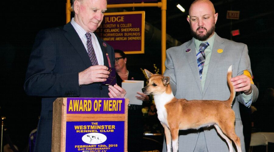 FADO WINS AT WESTMINSTER