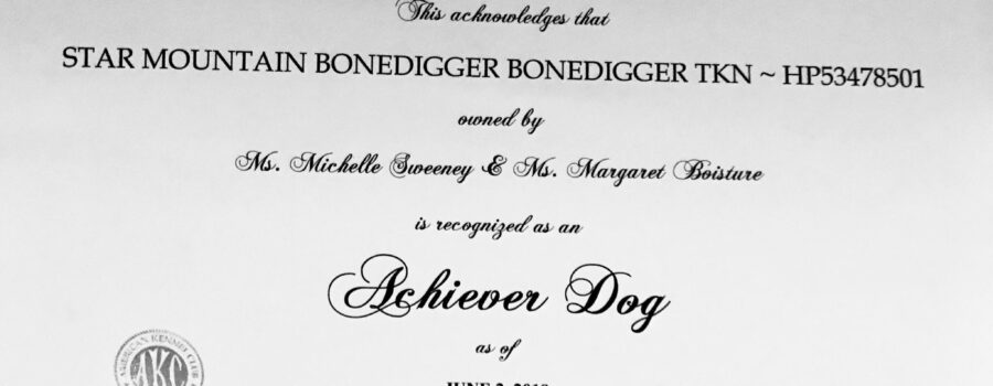 Mischief – Achiever Dog